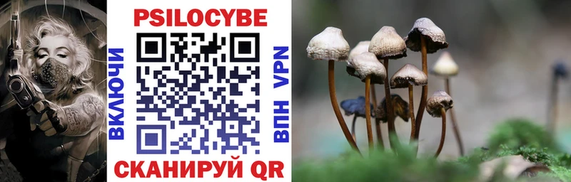 Псилоцибиновые грибы ЛСД  Старица 